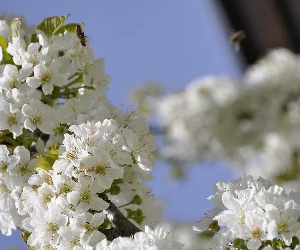 Active Apartman Ried im Oberinntal